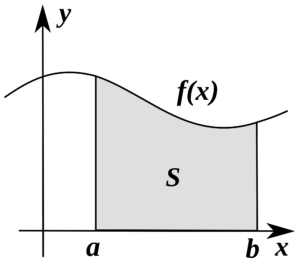 grafico curva